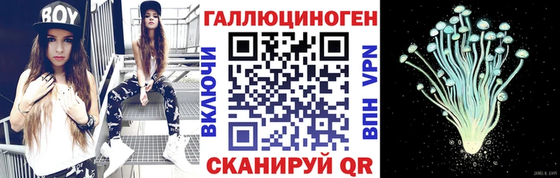 Галлюциногенные грибы мицелий  hydra вход  Вытегра  купить закладку 