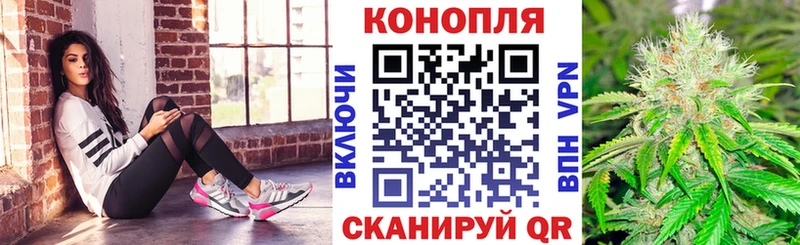 Бошки Шишки сатива купить сайты Вытегра